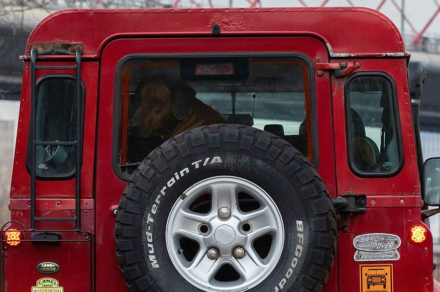 Land Rover Defender з пробігом: кузов негерметичний, алюміній гниє, зате електрика проста