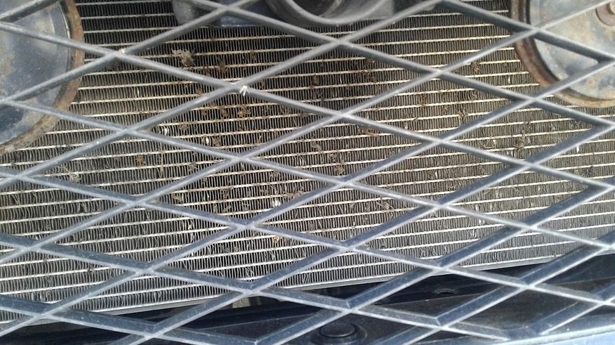 Уперед, на барикади: купуємо Mitsubishi Outlander II за 700 тисяч