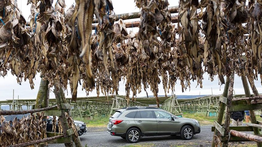 Острів чотирьох кольорів: випробовуємо Subaru в Ісландії